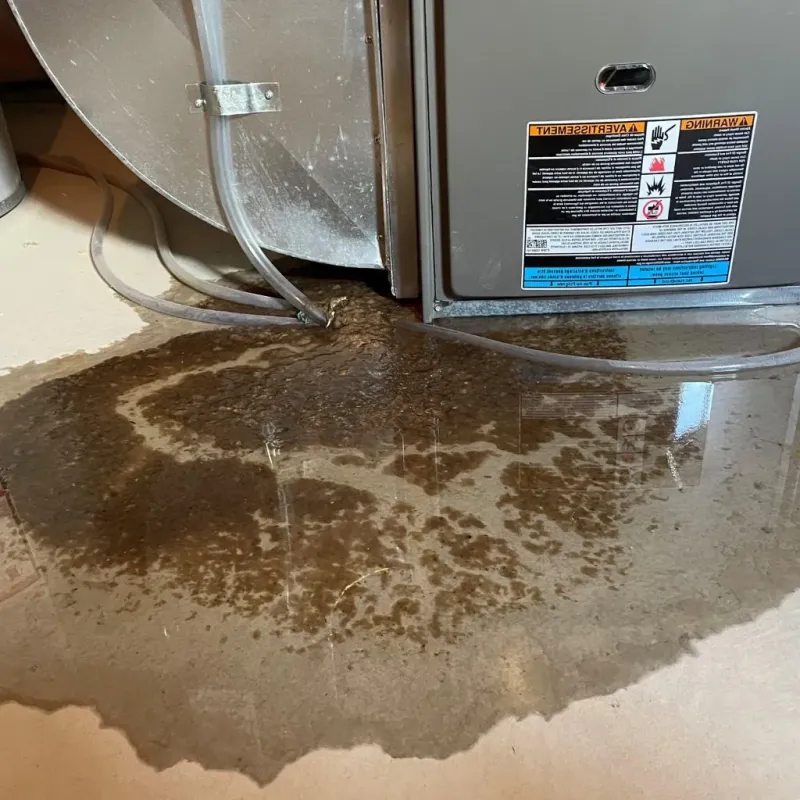 Pipe Burst and Leak Restoration in Lemmon, SD
